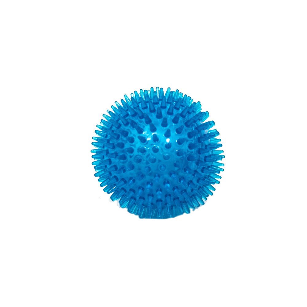 PL - Spiked Squeaky Ball Toy - Medium