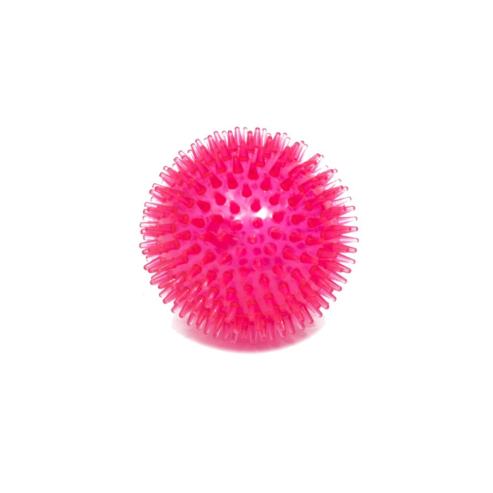 PL - Spiked Squeaky Ball Toy - Medium