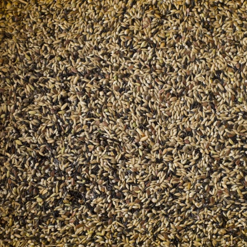 Farma Friends - Canary Special Mix - 1 KG