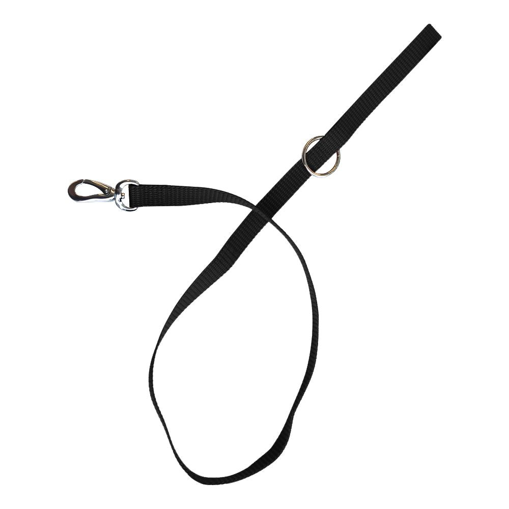 M-PETS - Sportline Dog Leash Black