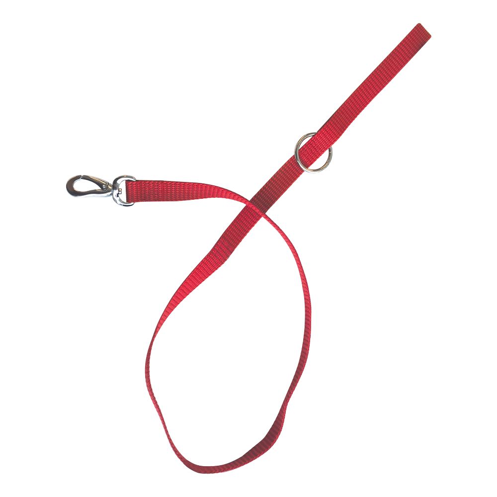 M-PETS - Sportline Dog Leash - Red