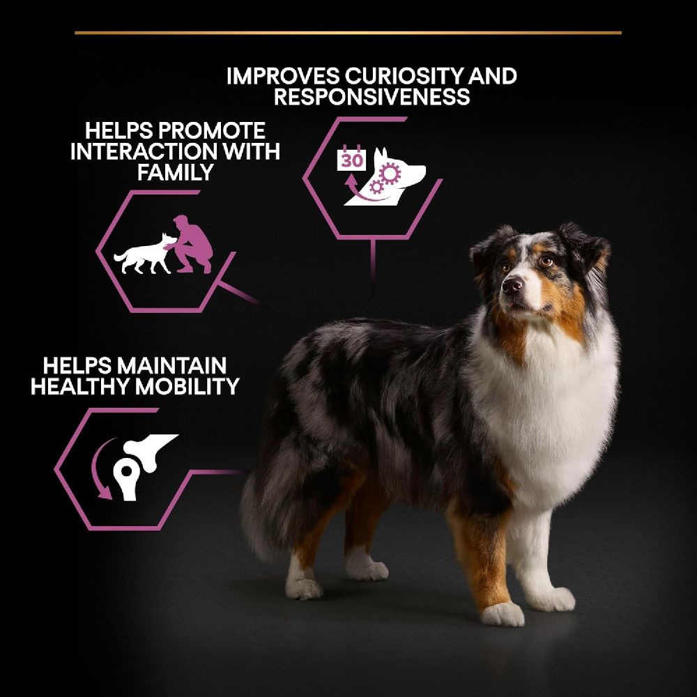 PRO PLAN - Medium And Large Adult 7+ Dog - Chicken (14 KG)