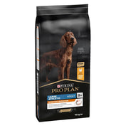 Pro Plan - Large Athletic Adult Dog - Chicken (14 KG)
