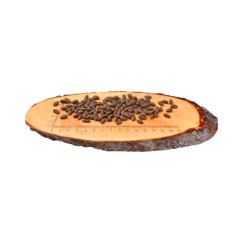 Carnilove - Salmon for Adult Cats 6 KG