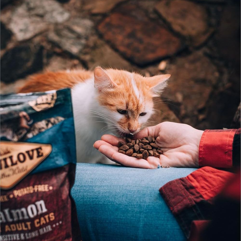 Carnilove - Salmon for Adult Cats 6 KG