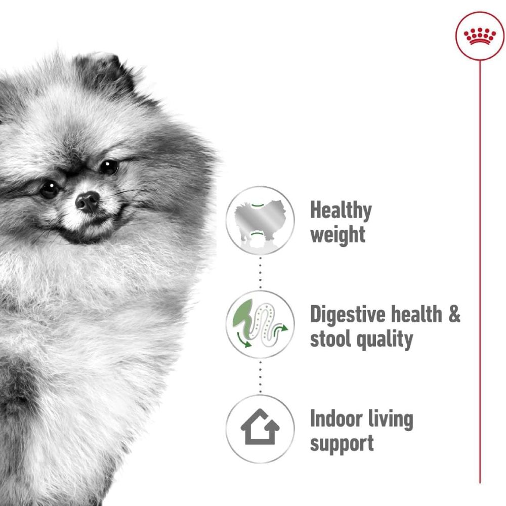 Royal Canin - Mini Indoor Adult 1.5 KG