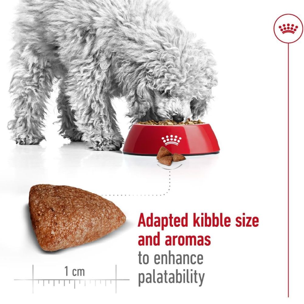 Royal Canin - Mini Indoor Adult 1.5 KG