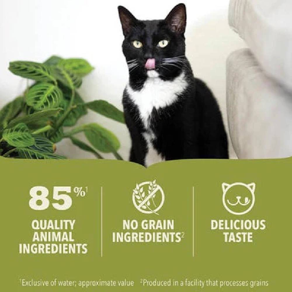 Acana - Premium Chicken Pate Cat Wet Food 85G