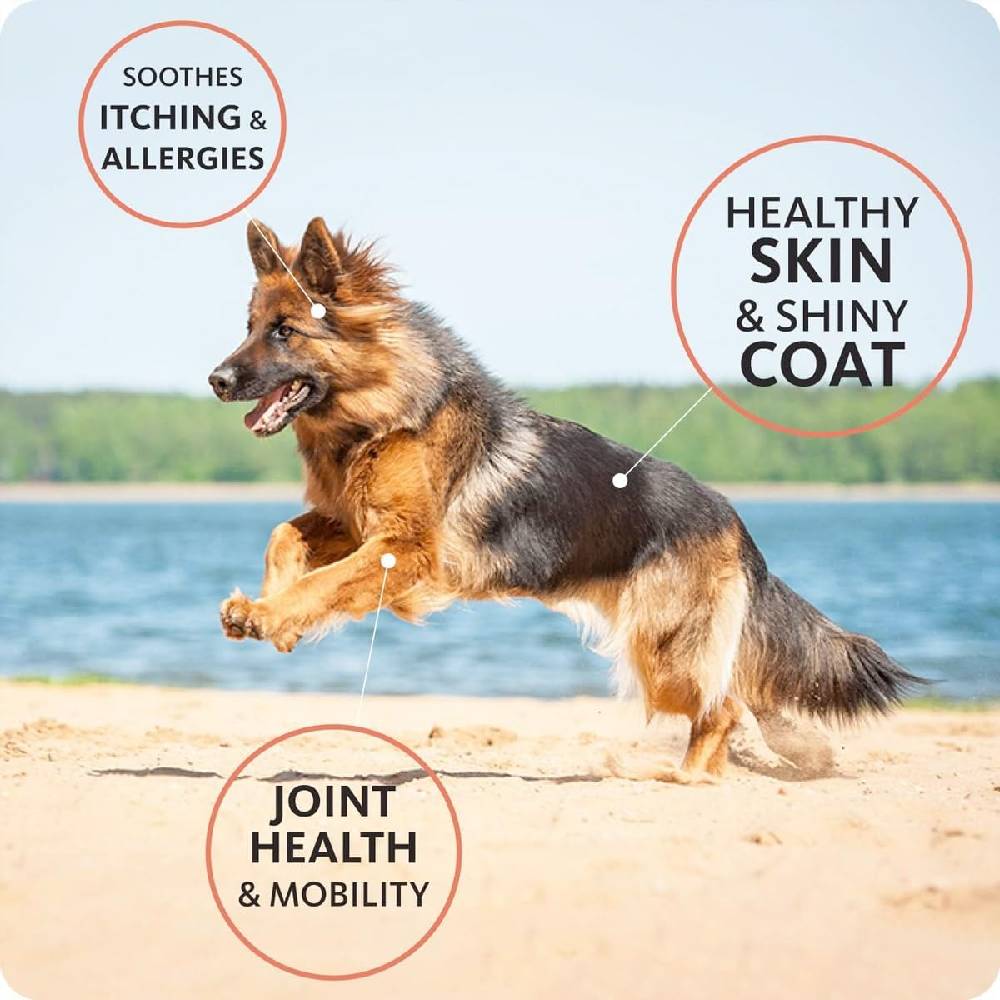 Brilliant Salmon Oil For Dogs And Cats 300Ml