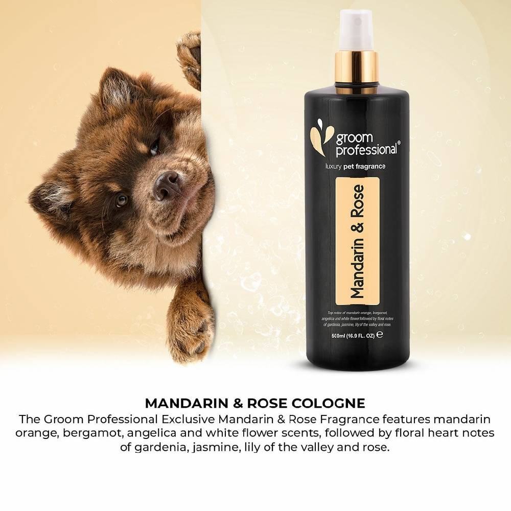 Groom Professional - Mandarin & Rose Cologne(Luxury) - 200 ml