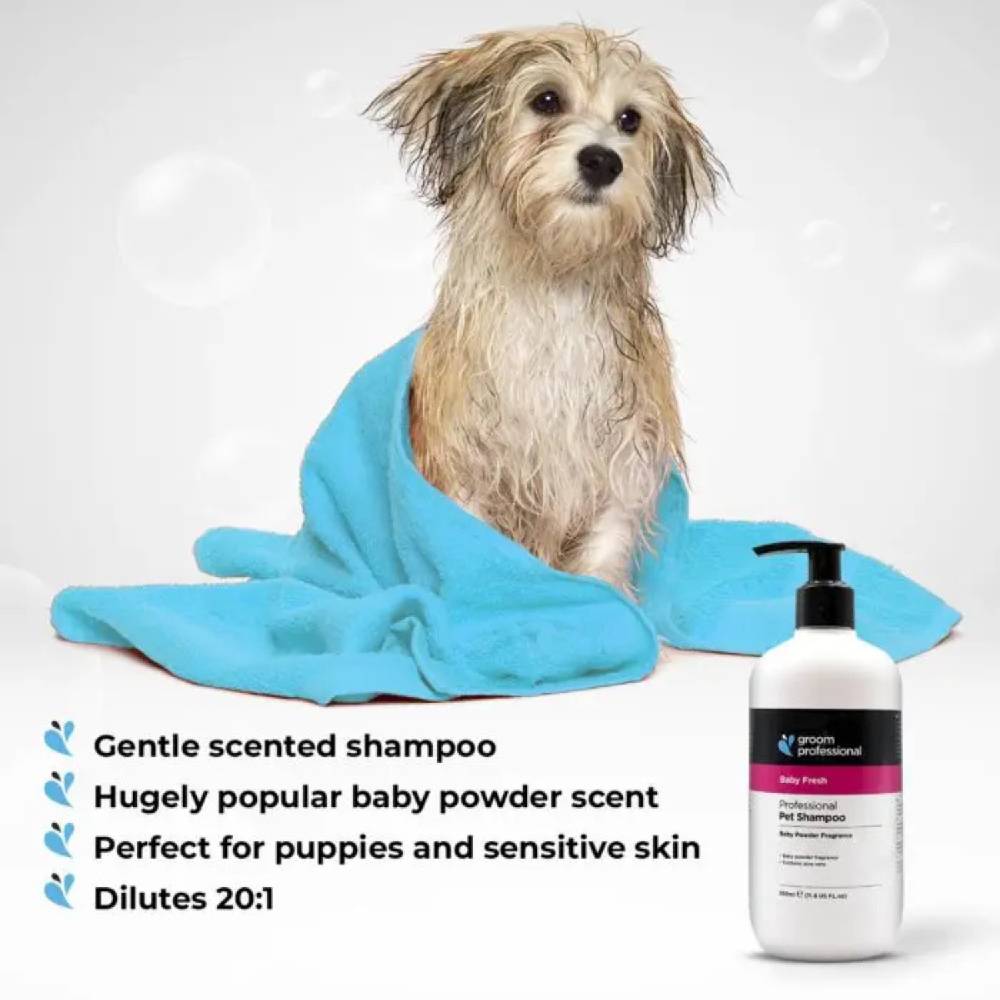 Groom Professional - Baby Fresh Shampoo- 350 ml