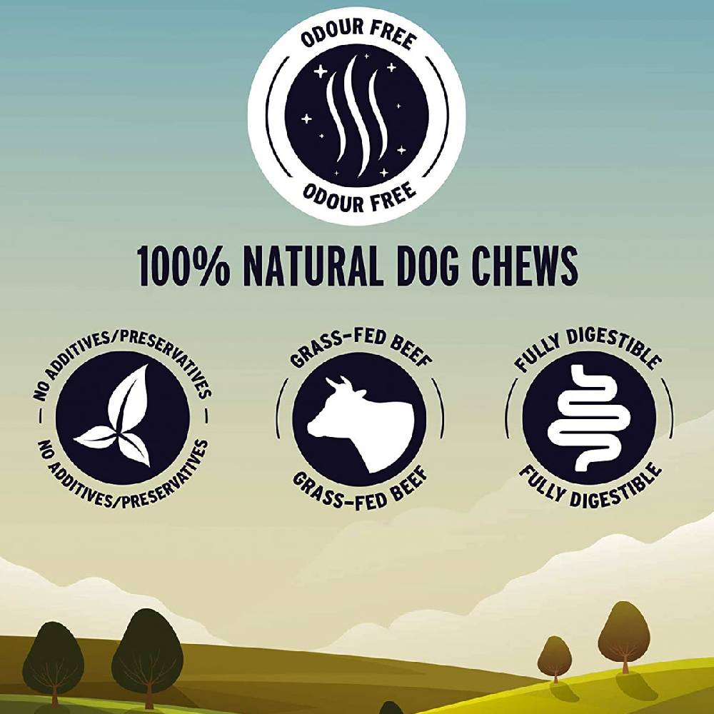 Great Jack's Odour-Free Bully Sticks | 100% Natural Air-Dried Dog Chews – 6 Pack