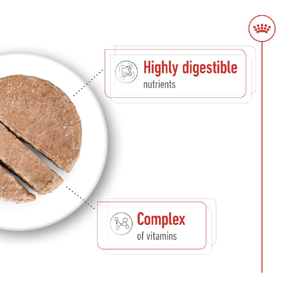 Royal Canin Mini Adult Wet Dog Food — Size Health Nutrition 195g Can