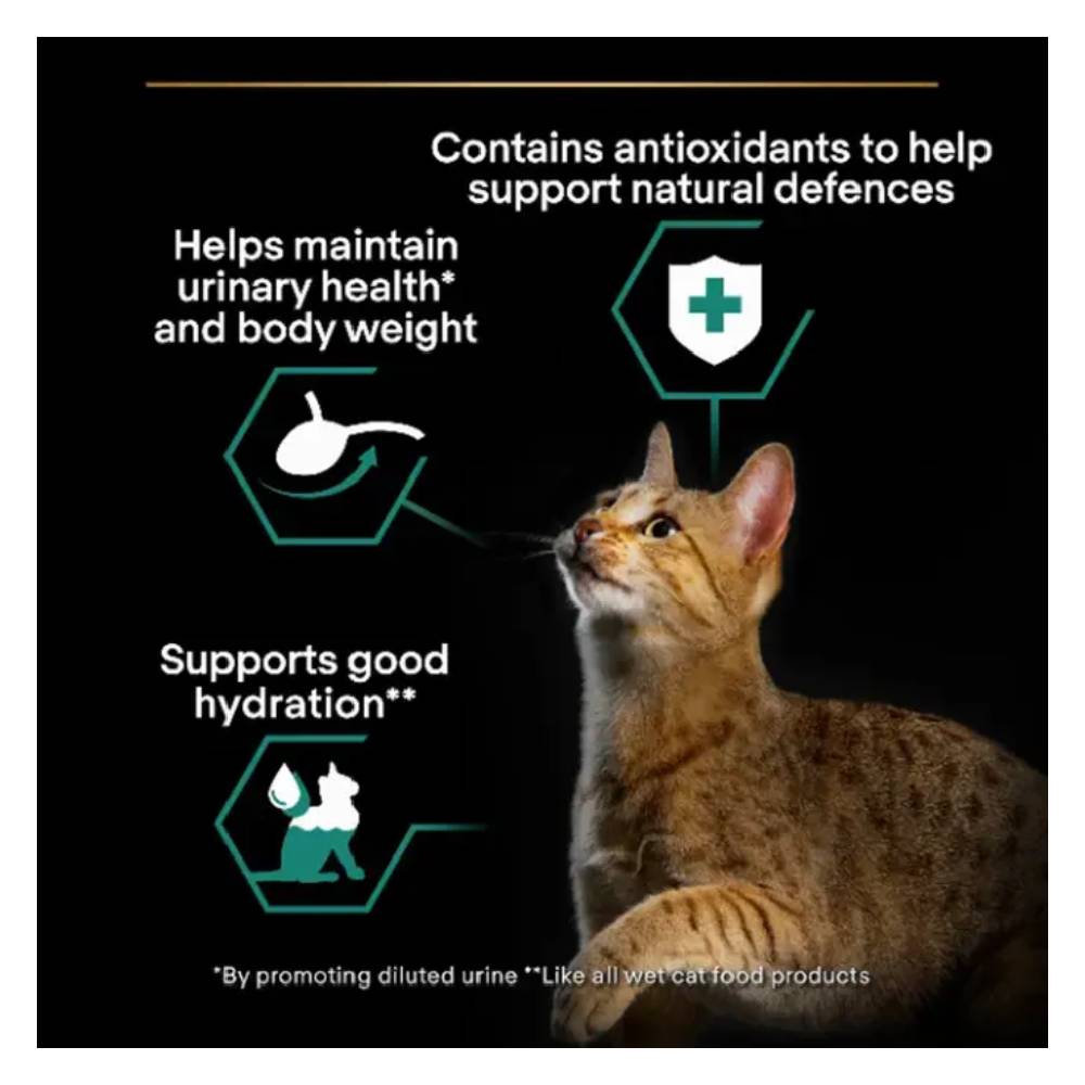 Purina - Pro Plan Cat Sterilised Adult Maintenance Beef & Chicken (10 x 85g)