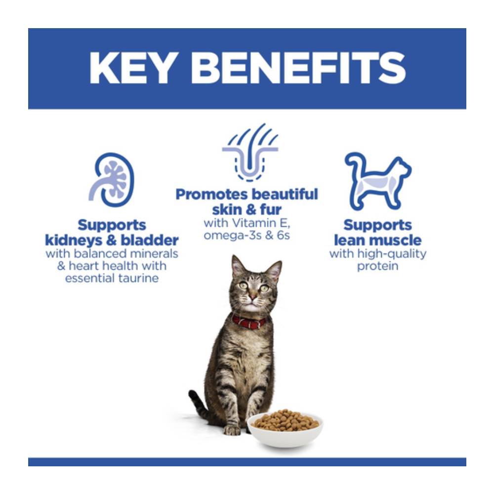 Hill’s - Science Plan Adult Cat Food With Salmon