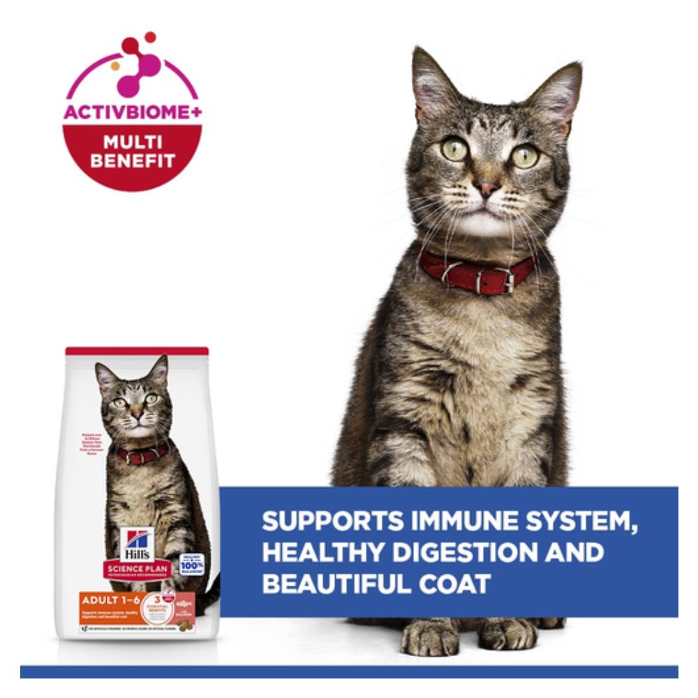 Hill’s - Science Plan Adult Cat Food With Salmon