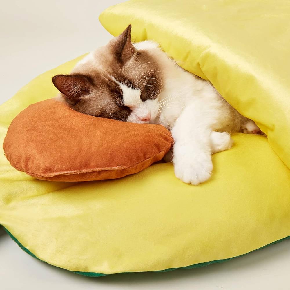 Cat resting on a yellow cushion with an orange pillow
