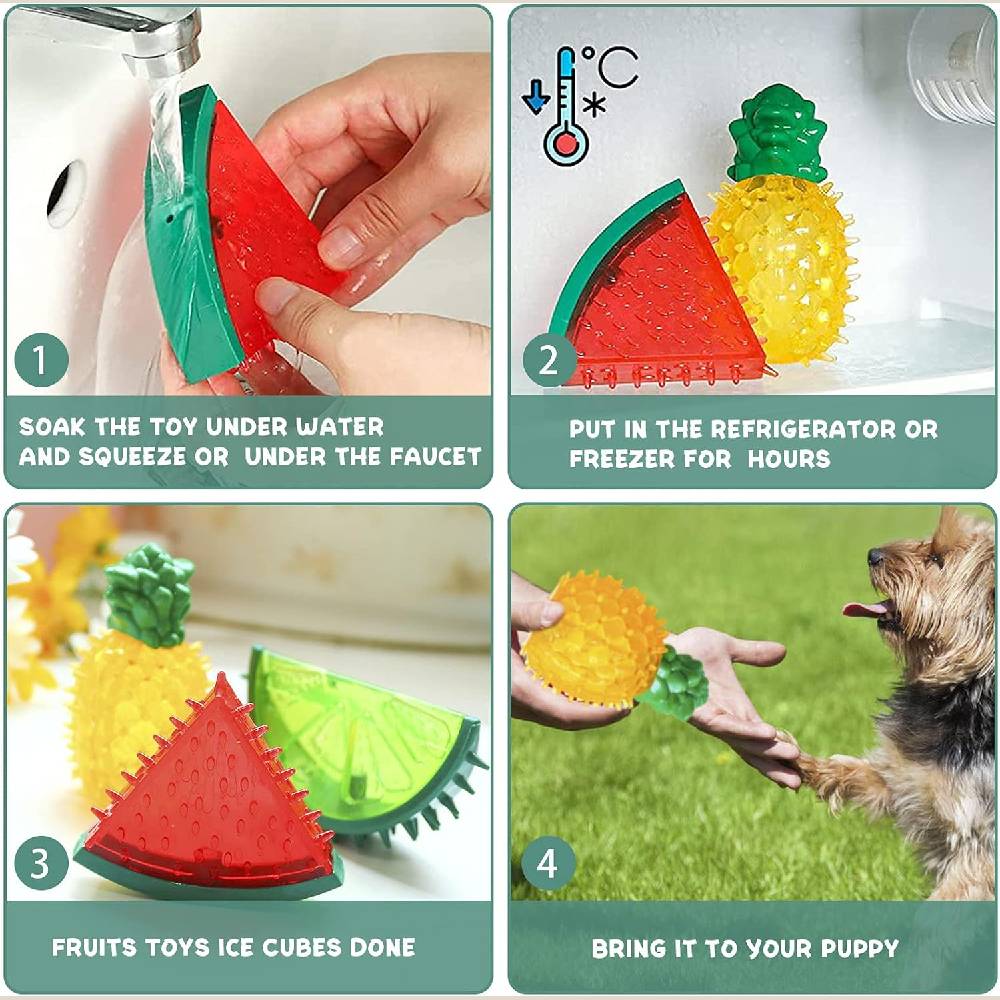 Instructions for using a dog toy shaped like fruits and ice cubes with a dog.