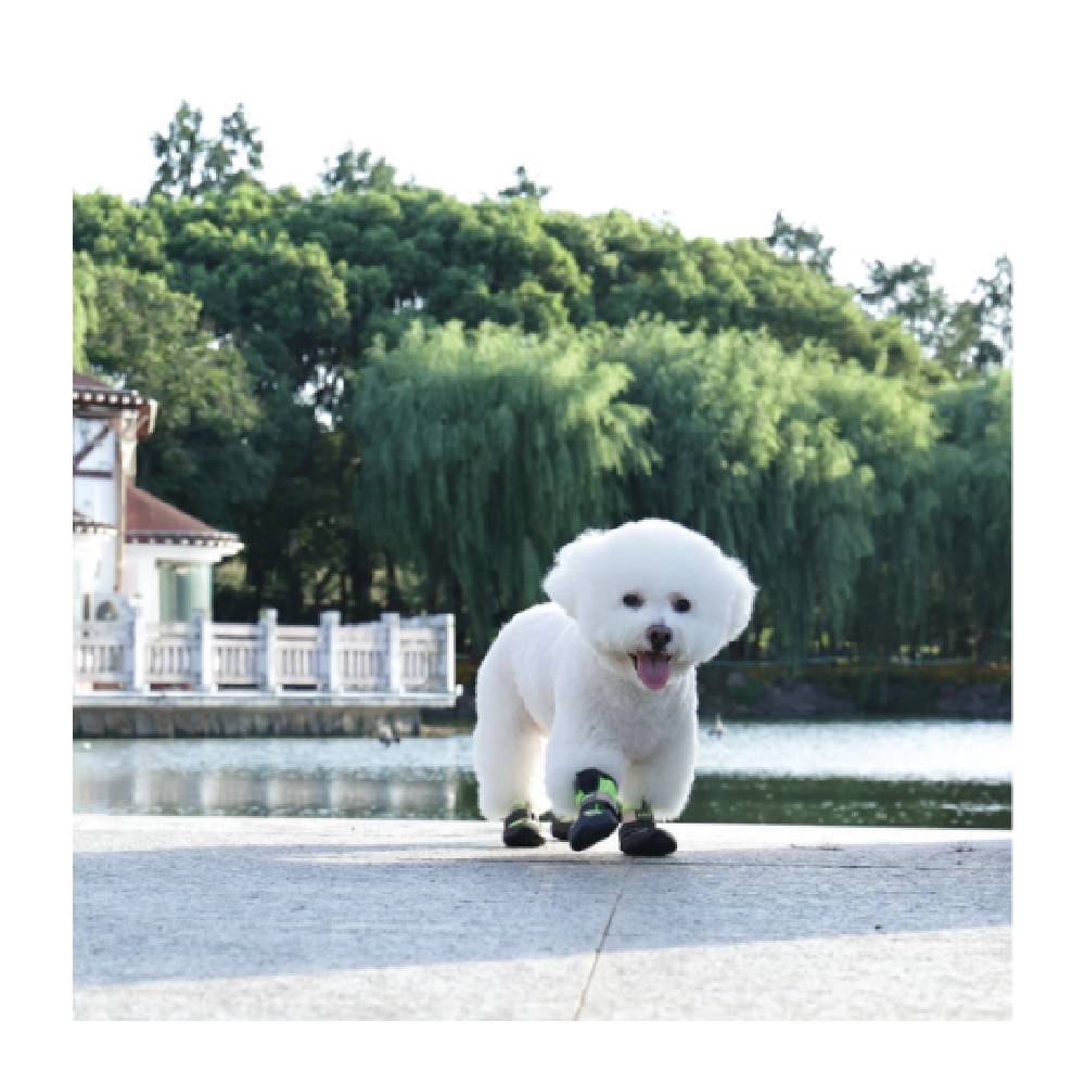 M-Pets FLEXI Waterproof Dog Shoes — Anti-Slip, Reflective, Breathable Paw Protection