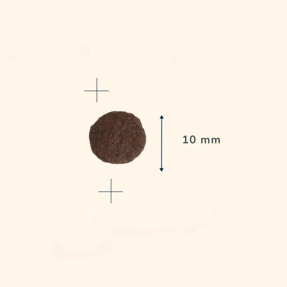 Brown round kibble with a measurement label on a beige background