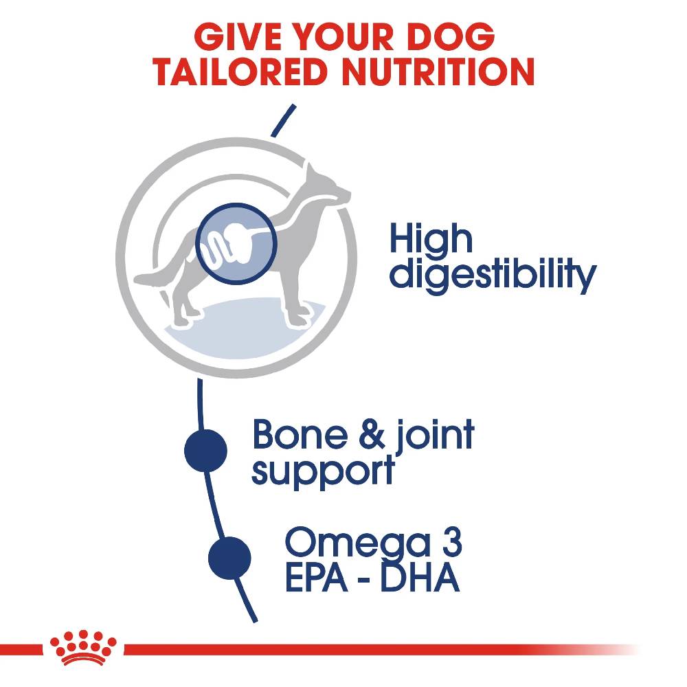 Royal Canin Maxi Adult Wet Dog Food Pouches 140g