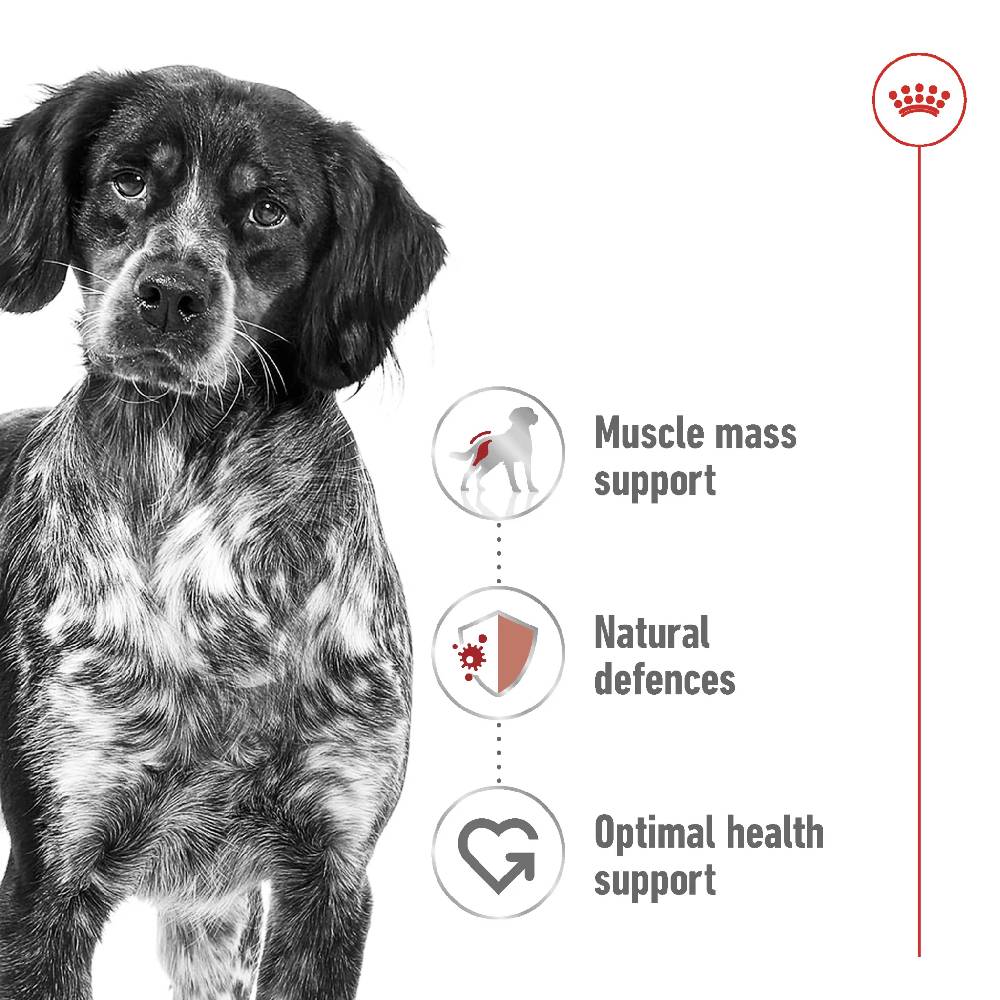 Royal Canin Medium Adult Dry Dog Food