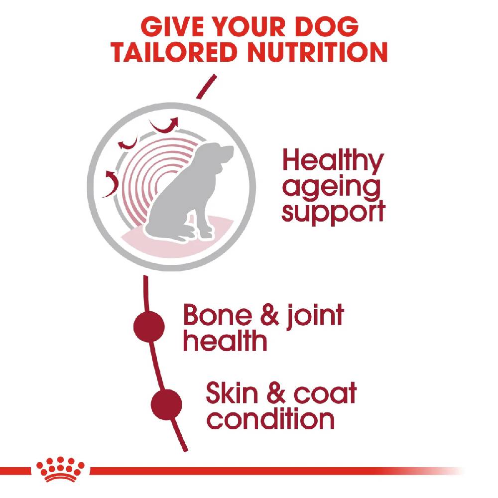 Royal Canin Medium Ageing 10+ Senior Dry Dog Food – 3 kg