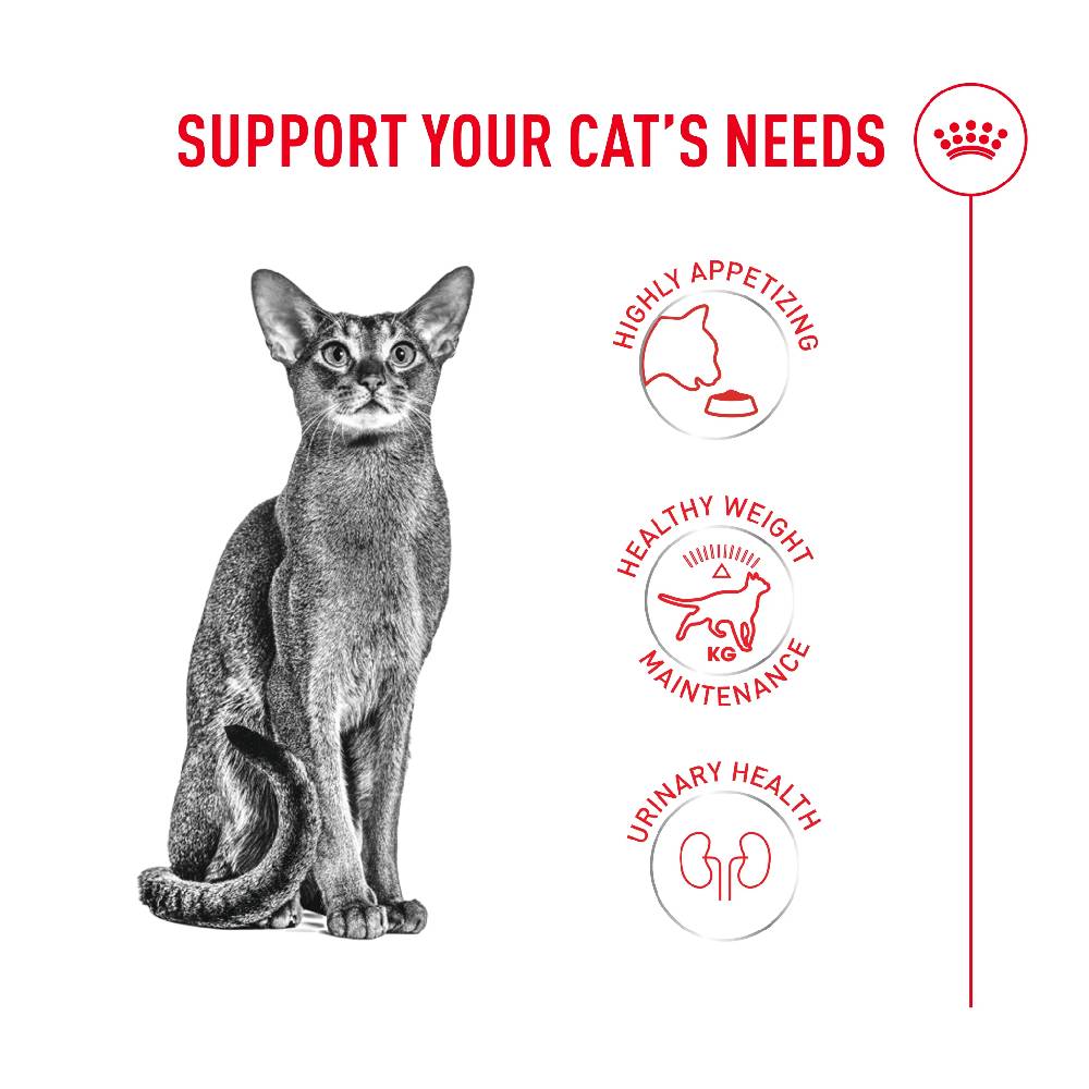 Royal Canin - Fussy Cat Dry Food, 2kg