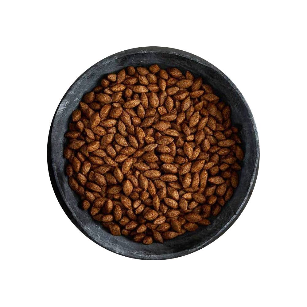 Canagan Insect Protein Grain Free Dry Dog Food – All Breeds 1.5kg