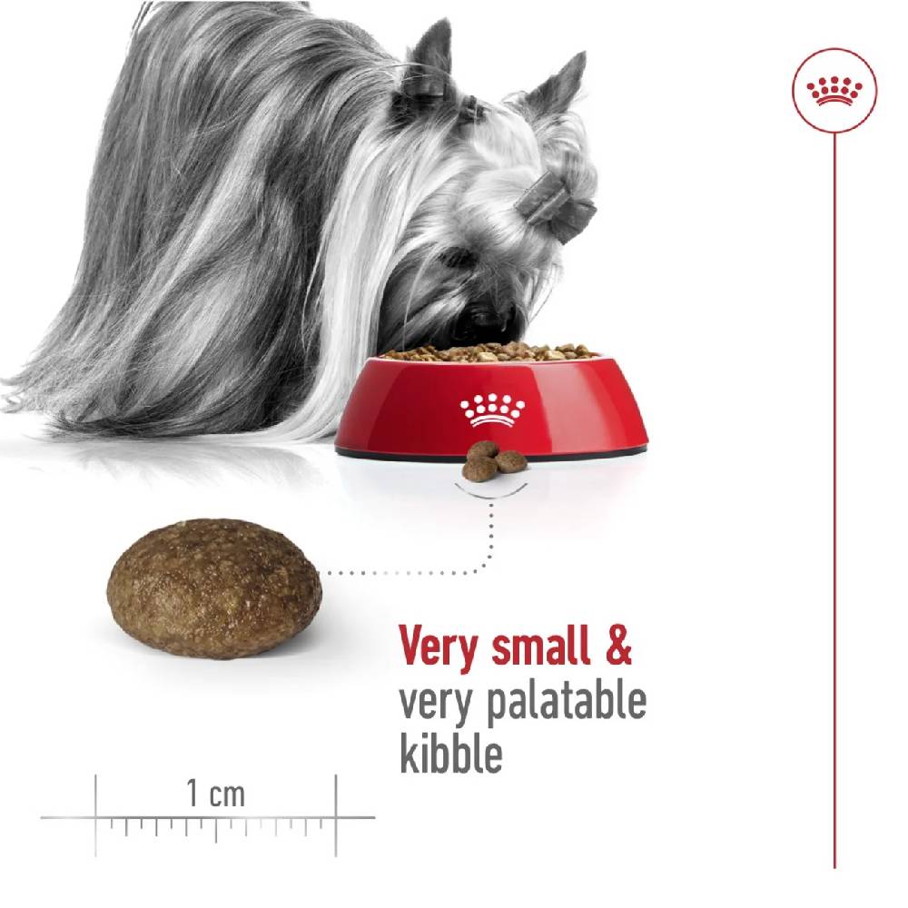 Royal Canin X-Small Adult 8+ Dry Dog Food, 1.5 kg
