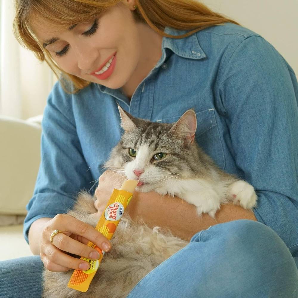 Inaba Churu Pops Cat Treat – Chicken Recipe, 4 Tubes (60g)