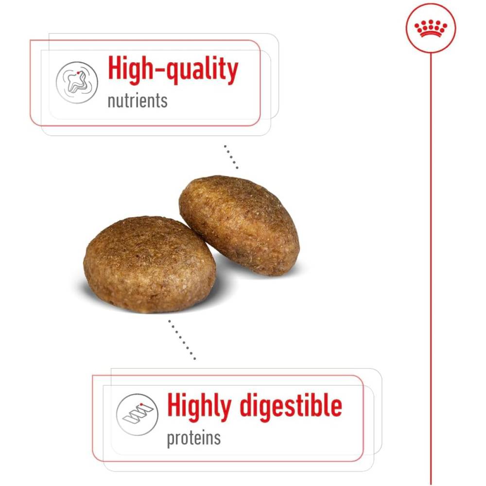 Royal Canin Maxi Adult Dog Dry Food – Large Breed, 26–44 kg