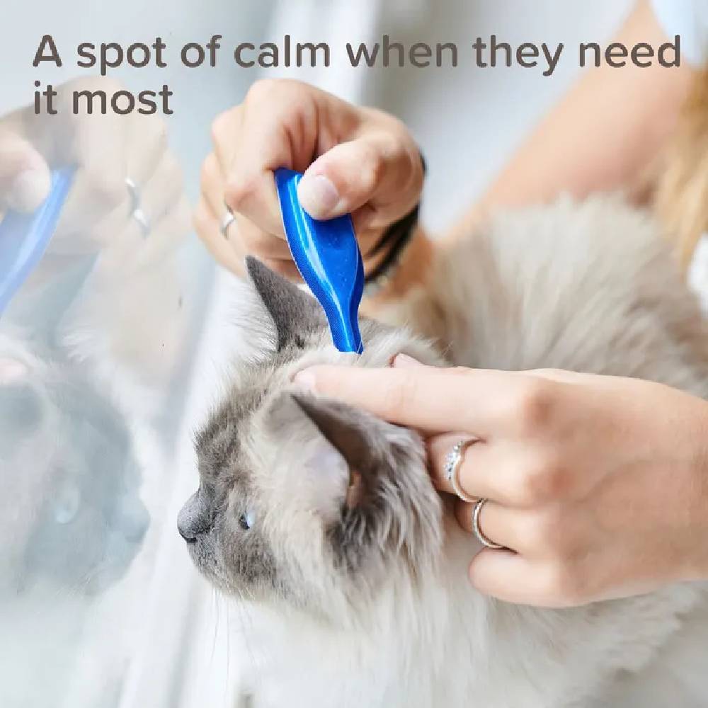 Beaphar - Calming Spot On Cat