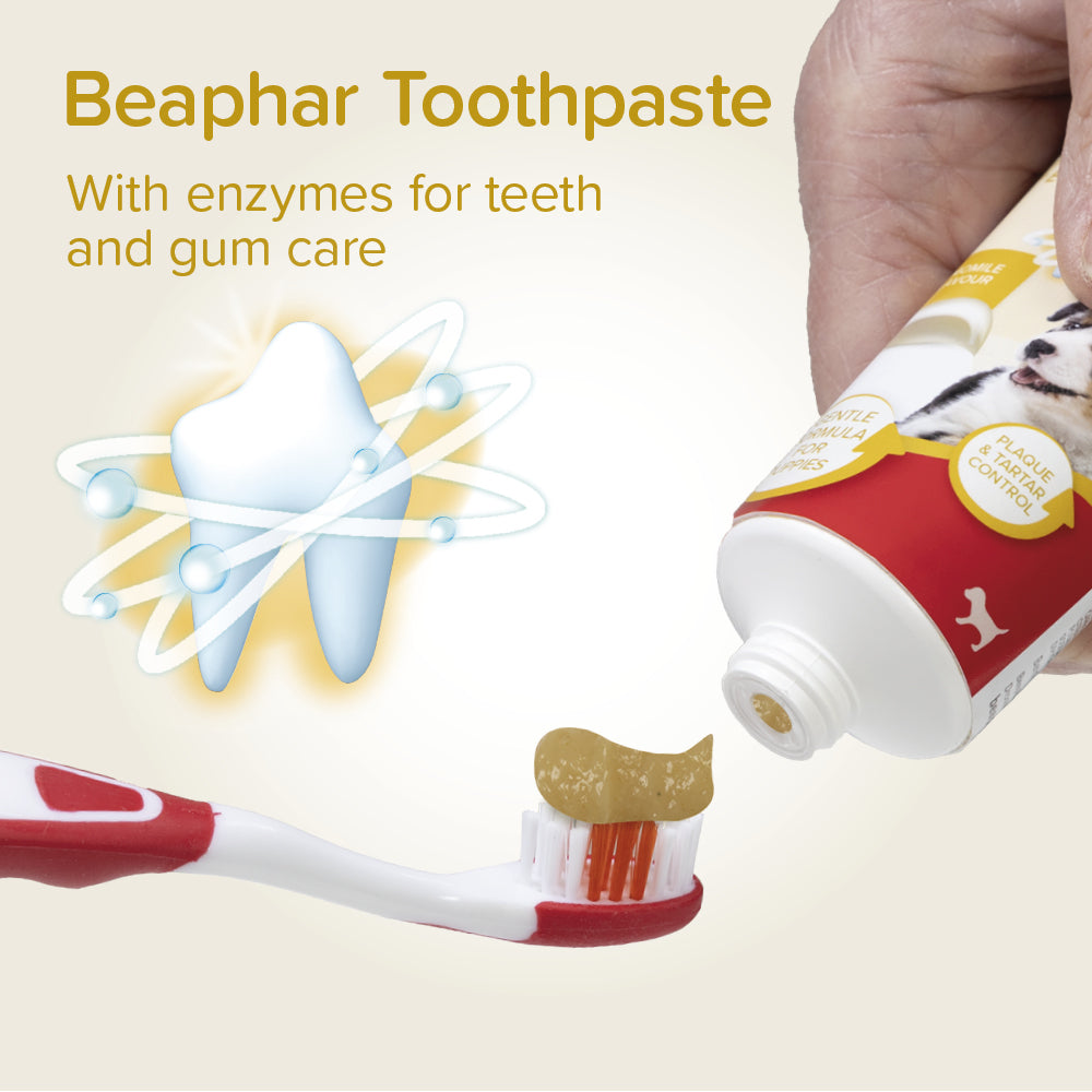 Beaphar Puppy Dental Kit with Toothpaste & Toothbrush 50 g