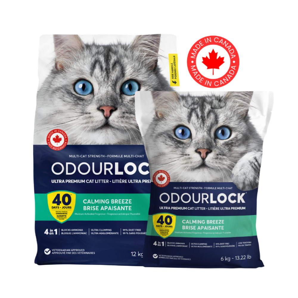 Intersand OdourLock Calming Breeze Clumping Cat Litter