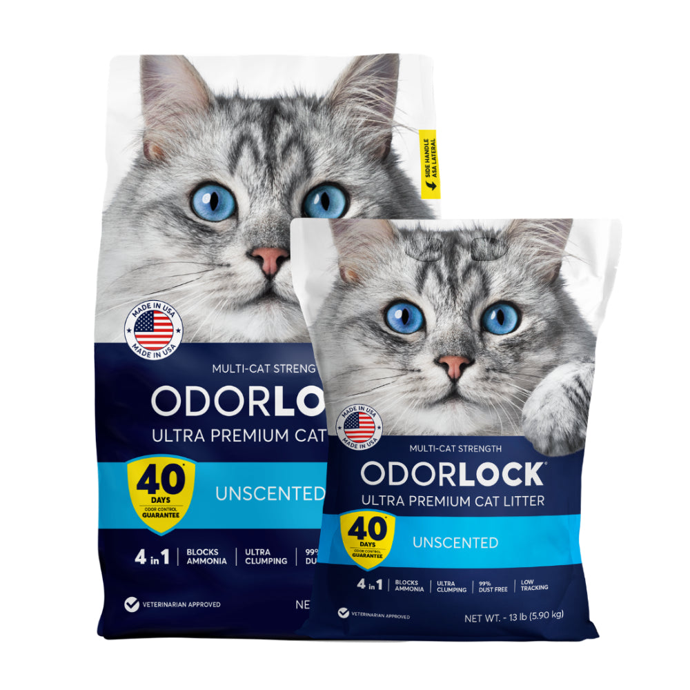 Intersand OdourLock Original Unscented Clumping Cat Litter