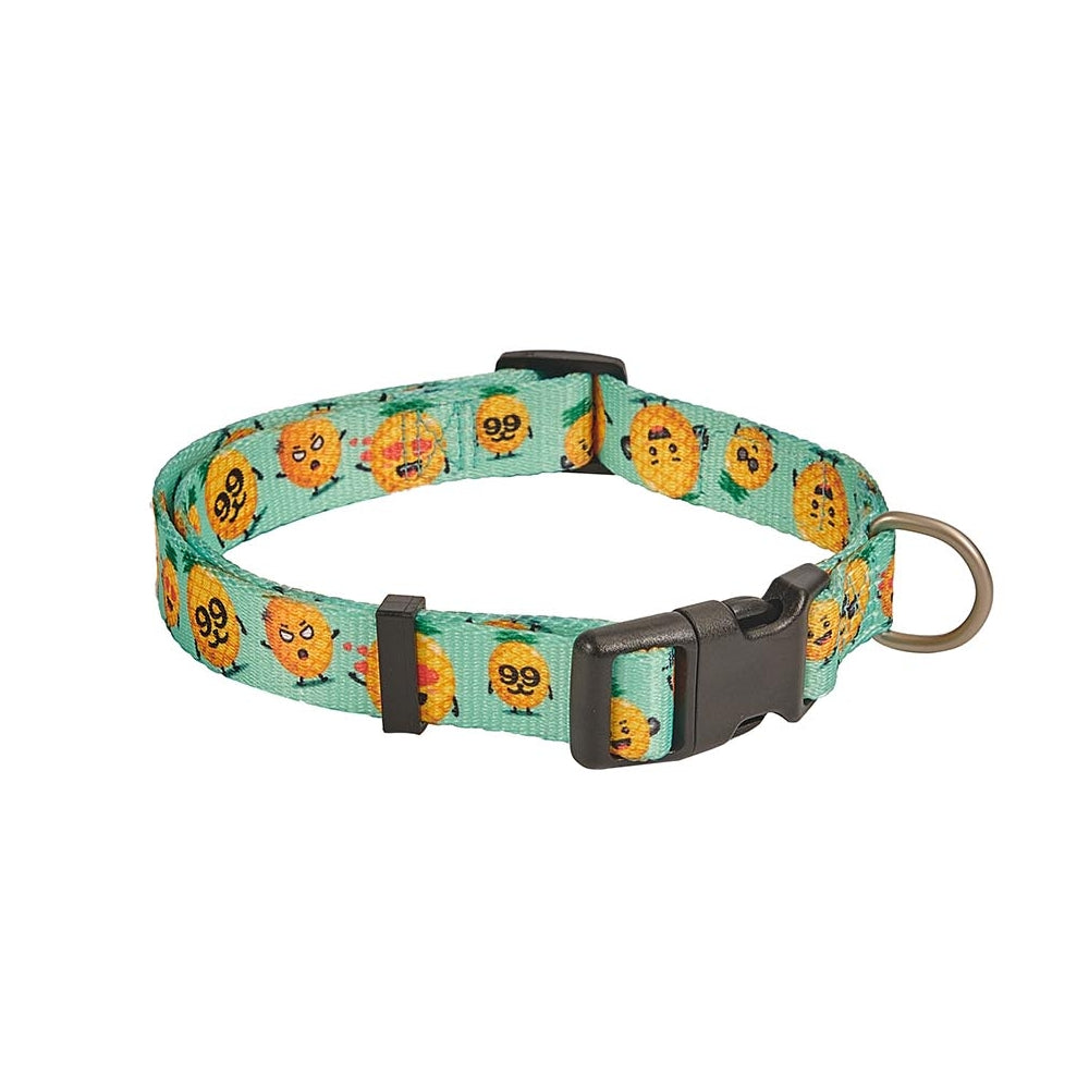 Freedog Pineapple Breeze Adjustable Nylon Dog Collar