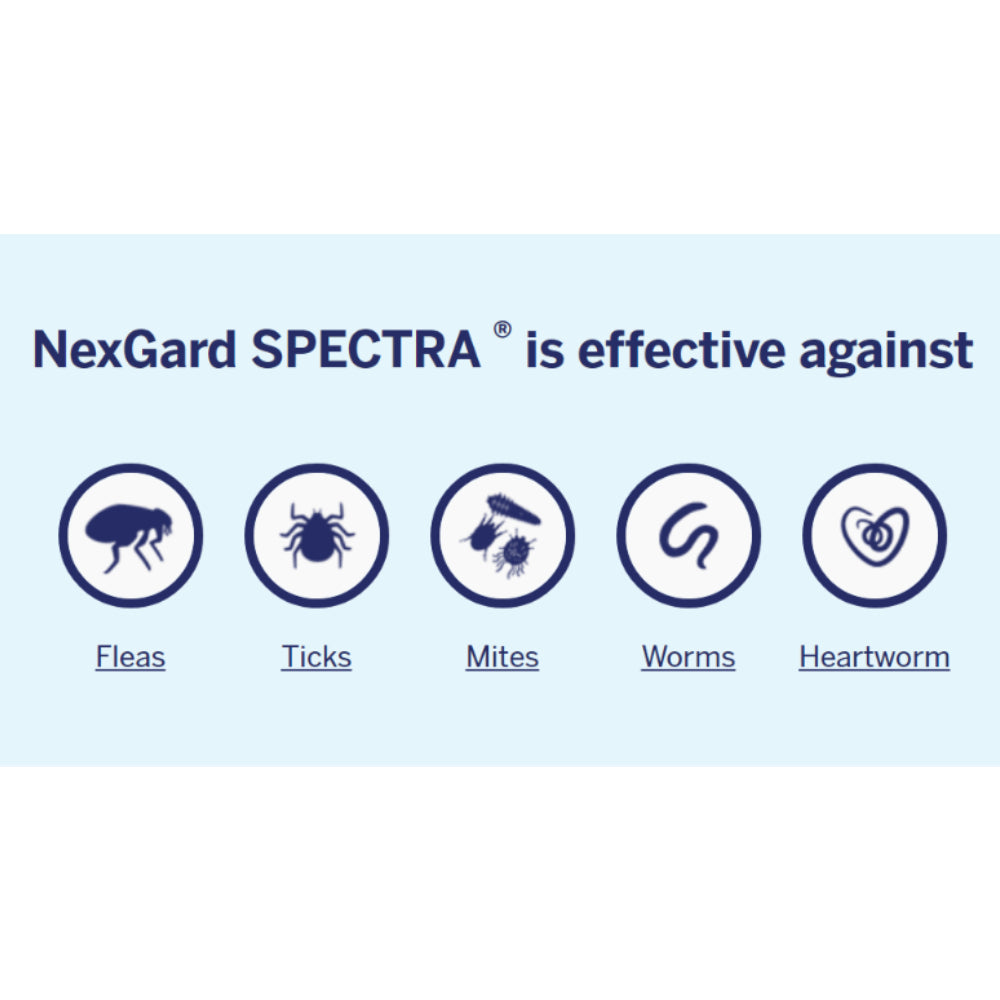 NexGard SPECTRA Chewable Tablets for Dogs