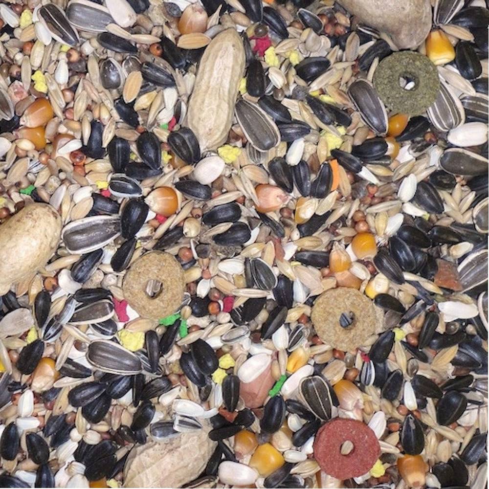 Farma Friends - Parrot Special Mix - 800 Grams