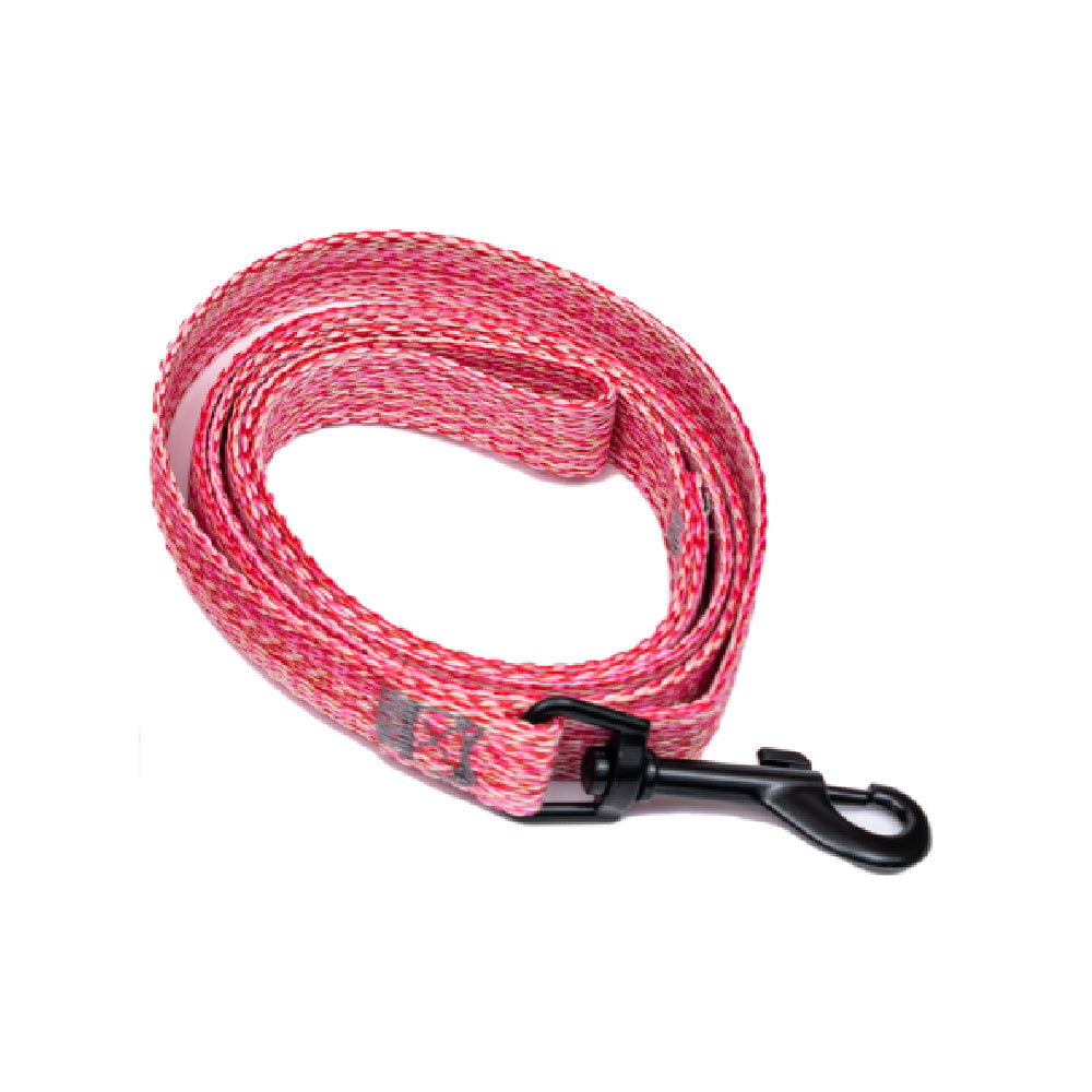 PL - PupGear Collection - Large (Plain)