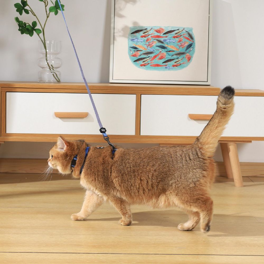 M-PETS - Gentle Cat Harness & Leash Set