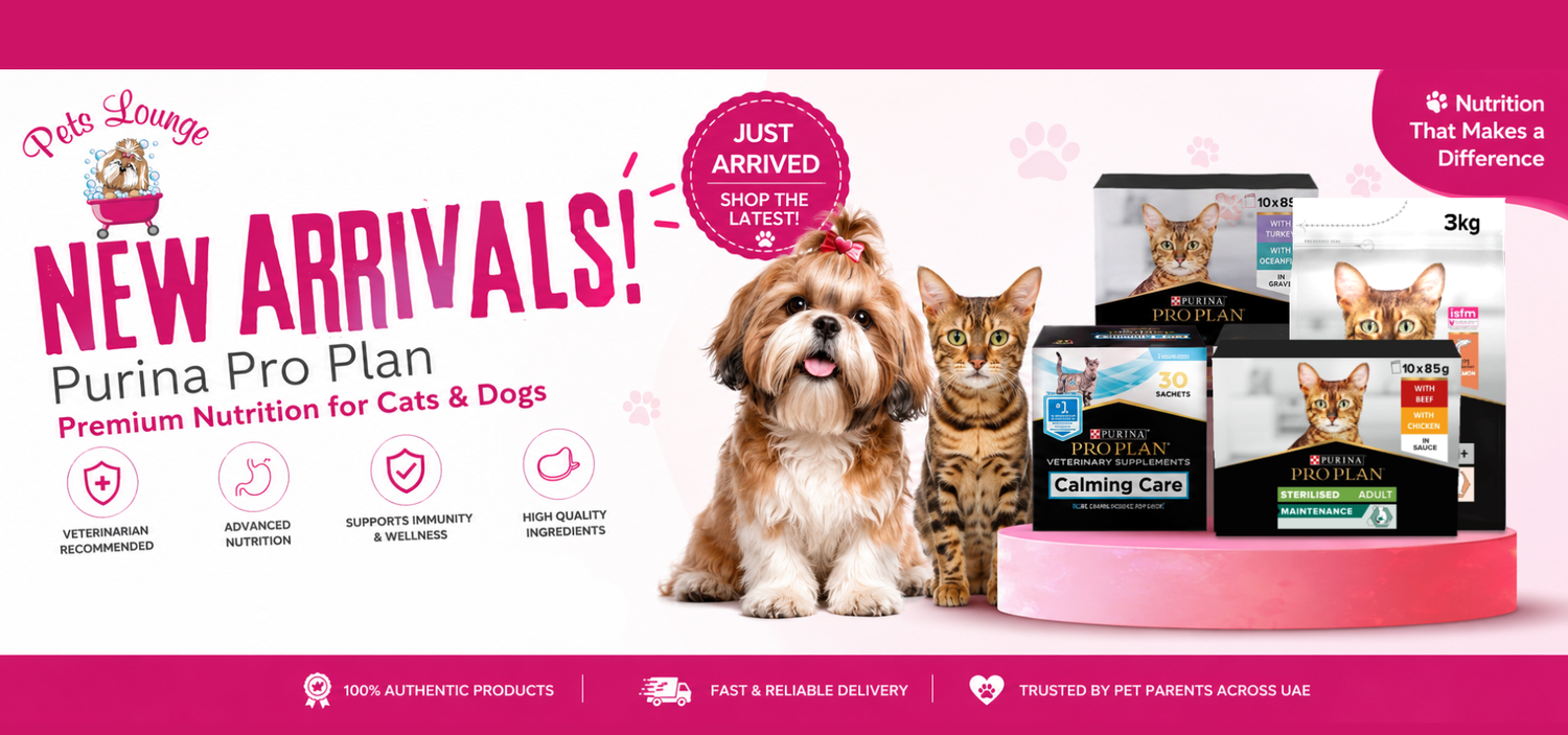 Pets Lounge
