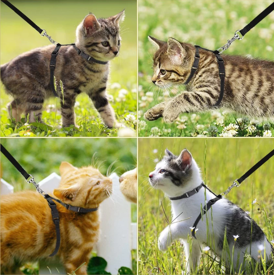 PL - Bin Bin Pet Cat Walking Set