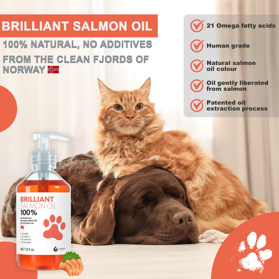 Brilliant Salmon Oil for Dogs and Cats 1000ml
