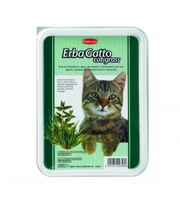 Padovan - Erbagatto Cat Grass