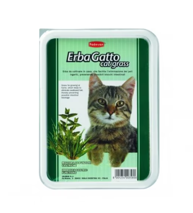 Padovan - Erbagatto Cat Grass