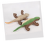 PL - Squeaky Gecko Dog Toy