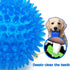 PL - Spiked Squeaky Ball Toy - Medium