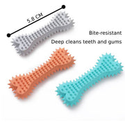 PL - Spiky Bone Chew Toy