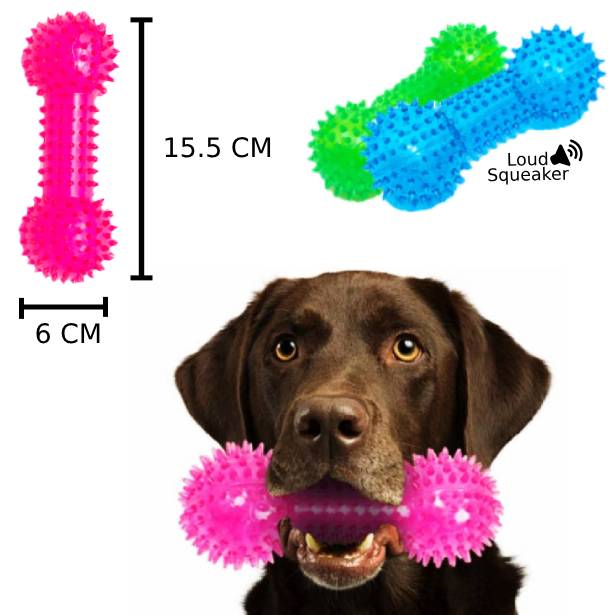 PL - Spiky Squeaky Dumbbell